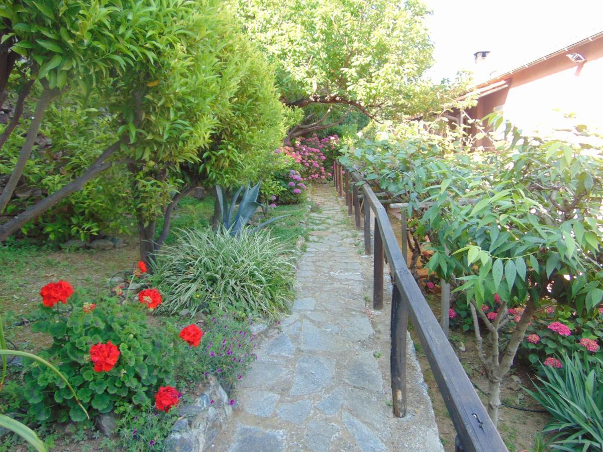 Casa Roberto B&B Savone Extérieur photo